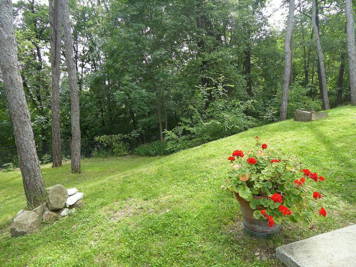 Villa per 6 persone con giardino in Teolo, Colli Euganei