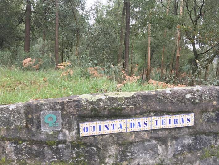 Location de vacances pour 3 personnes, avec piscine ainsi que jardin et vue dans Santo Tirso - 2