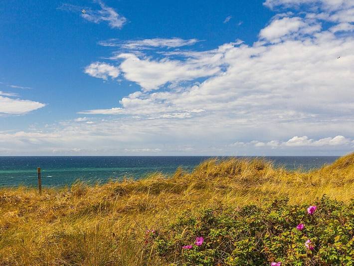 Ferienwohnung in Sylt mit 0 Schlafzimmer in Nordfriesische Inseln (Schleswig-Holstein) (Schleswig-Holstein), Wenningstedt
