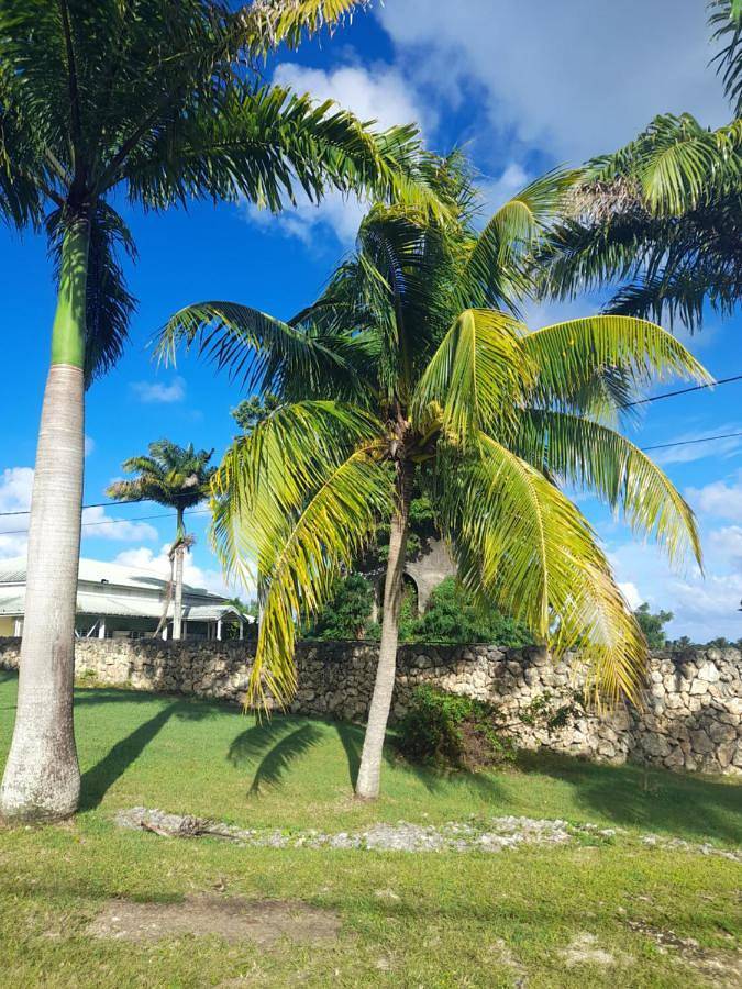 Gîte pour 5 personnes, avec terrasse dans Port-Louis (Guadeloupe) - 4