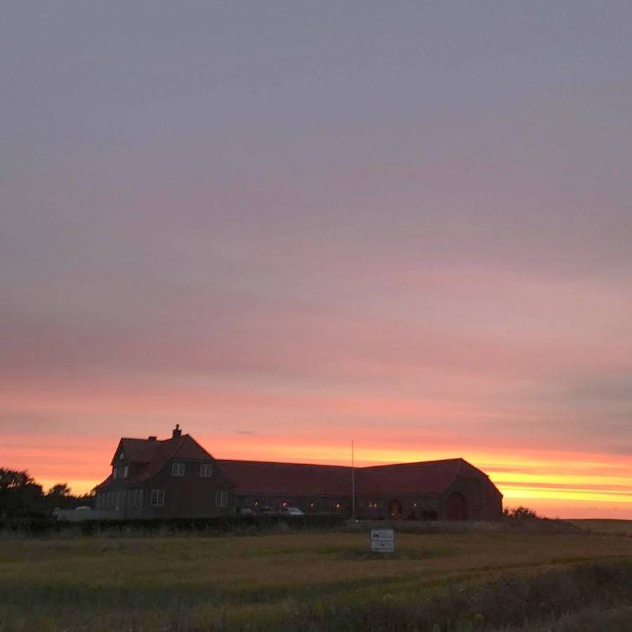 Bjerrumgaard bed and breakfast in Ribe, Wadden Sea National Park