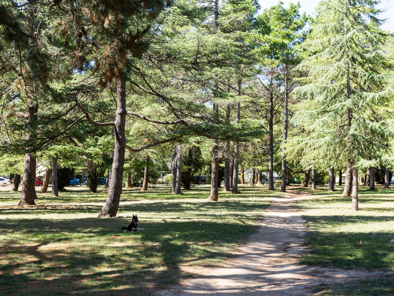 Hel leilighet, Elegant og stilig ettromsleilighet med uslåelig beliggenhet in North Canberra, Canberra