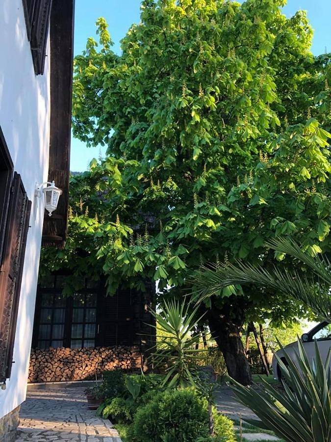 Apartament wakacyjny dla 2 osób, z widok na jezioro i ogród oraz widok w Tihany