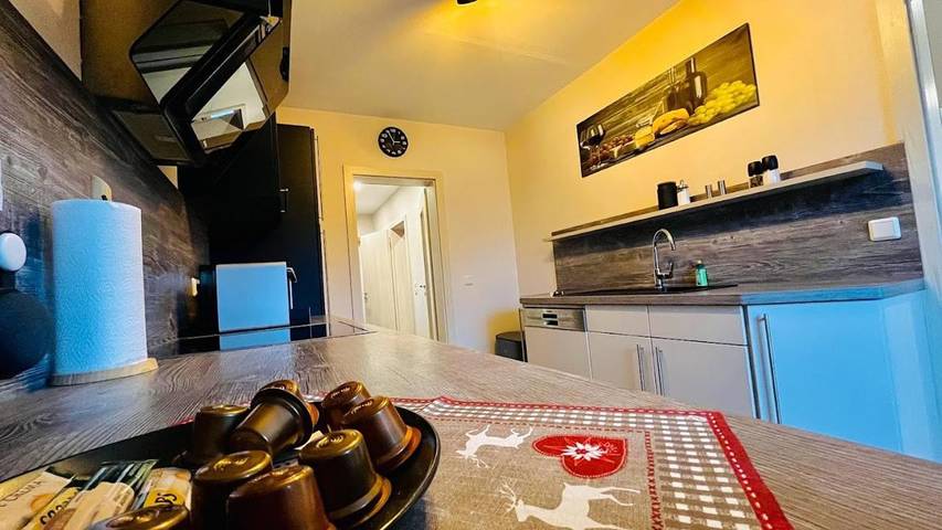 Ferienwohnung für 3 Personen, mit Terrasse in Zella-Mehlis - 4