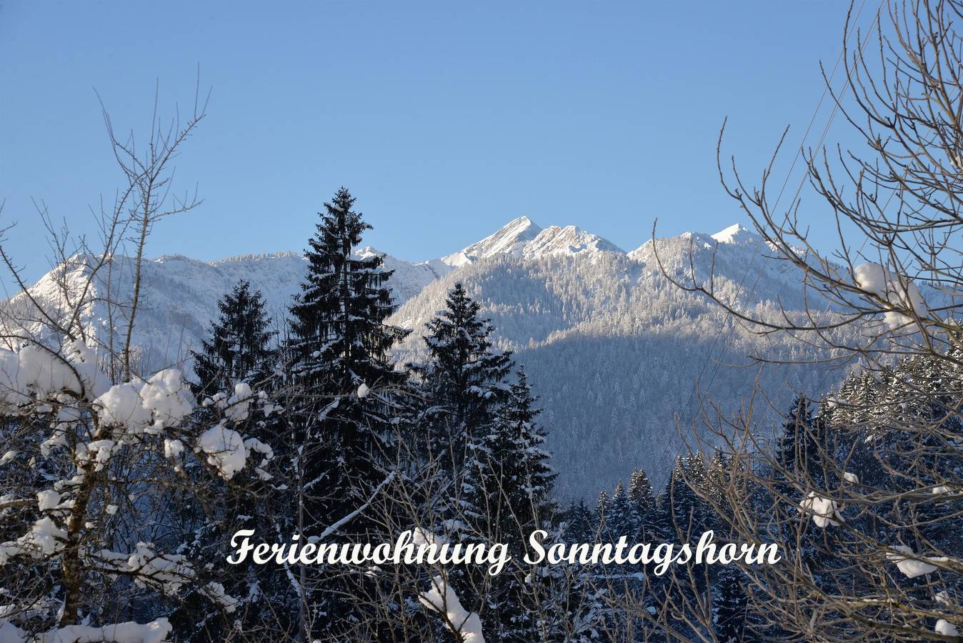 Ganze Ferienwohnung, Ferienwohnung Sonntagshorn in Schneizlreuth, Bayerische Alpen