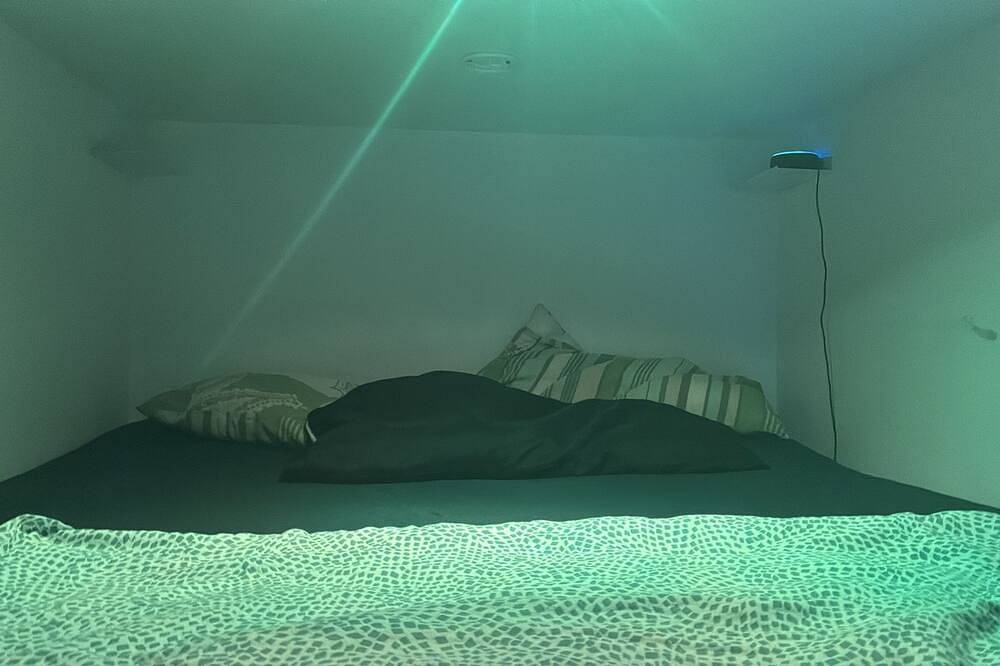 Ganze Wohnung, Loft bed apartment in welcoming Berlin with Wifi, Ac, washer, in Berlin Innenstadt, Berlin