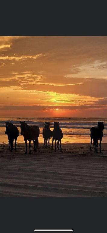 Ganze Wohnung, Brand New Beautiful Condo at Beach Club in Corolla, Steps from the beach! in Corolla, Currituck County