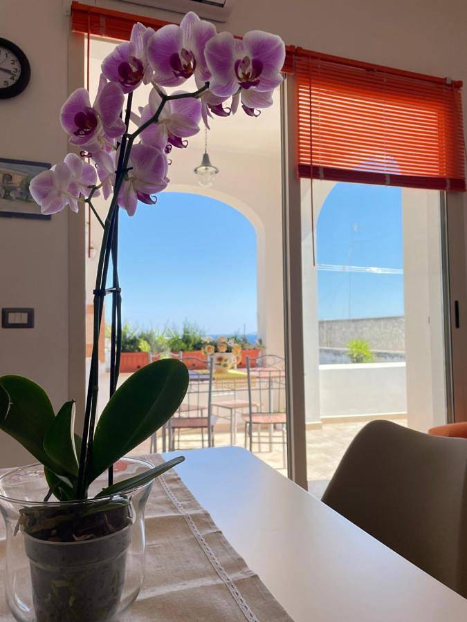 Apartamento de vacaciones para 4 personas, con vistas y terraza, Se admiten mascotas - 1