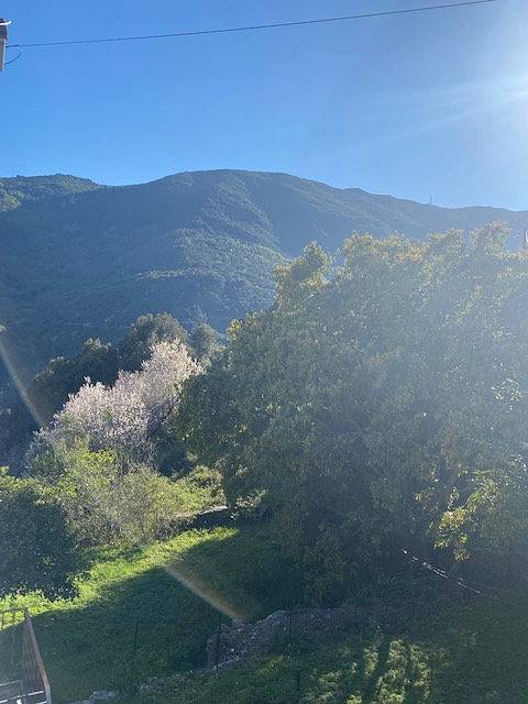 Appartement de vacances pour 4 personnes, avec terrasse, animaux acceptés dans Haute-Corse - 4