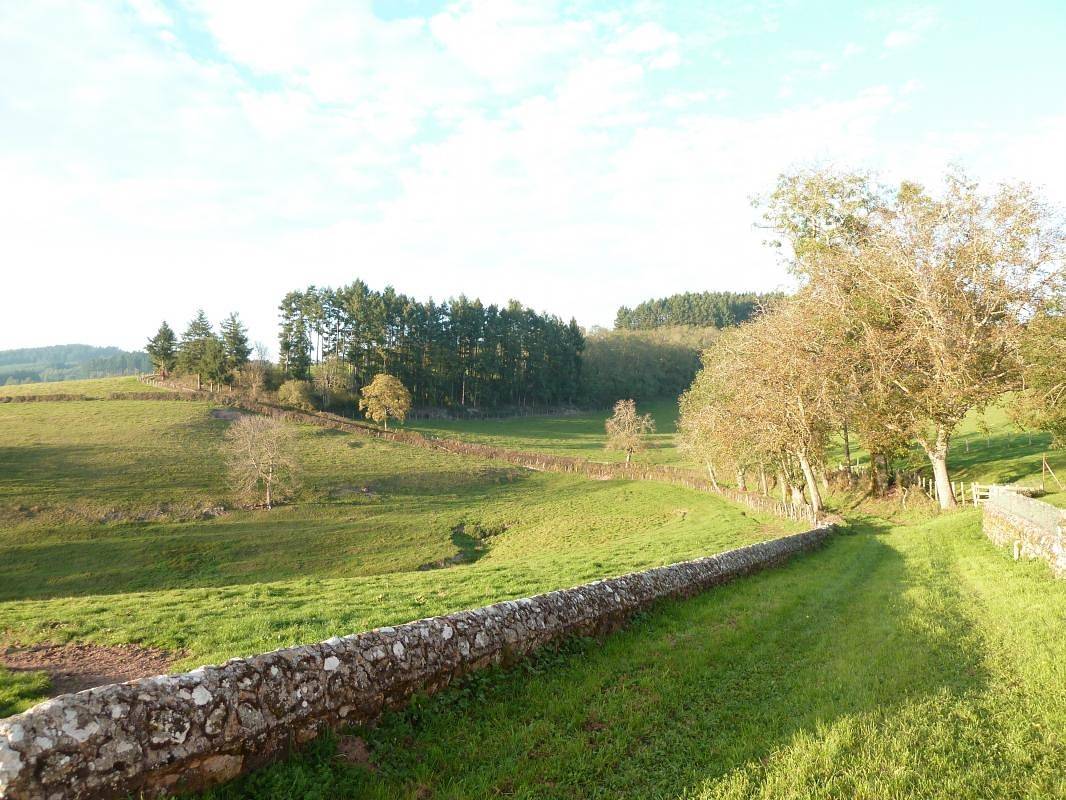 Gîte für 5 Personen mit Terrasse in Dompierre-les-Ormes, Mâcon und Umgebung
