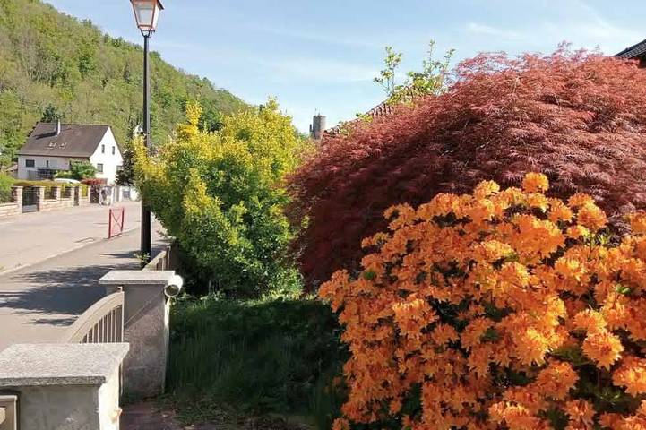 Gîte pour 3 personnes à Kaysersberg