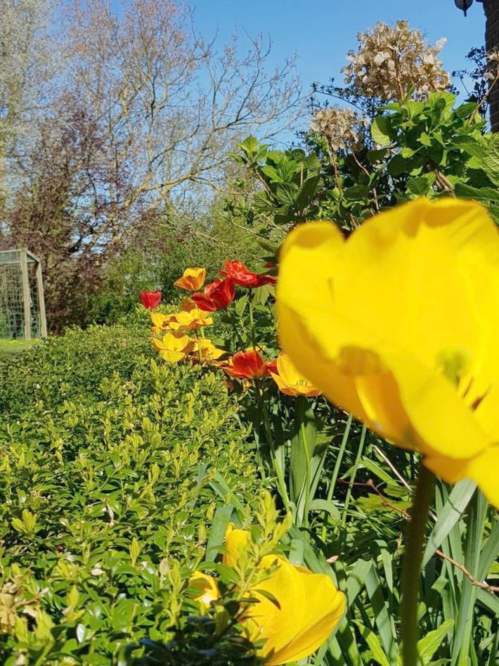 Ferienhaus für 5 Personen, mit Ausblick und Garten in Risum-Lindholm - 3
