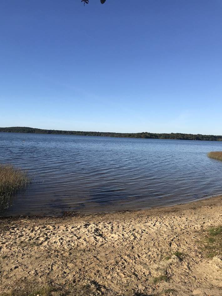 Location de vacances pour 6 personnes, avec bassin pour enfant et jardin, adapté aux familles à Aureilhan - 3