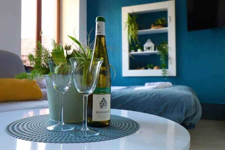 Ganze Wohnung, Studio de 30m² au Centre-ville Deux Étoiles in Montbéliard, Doubs