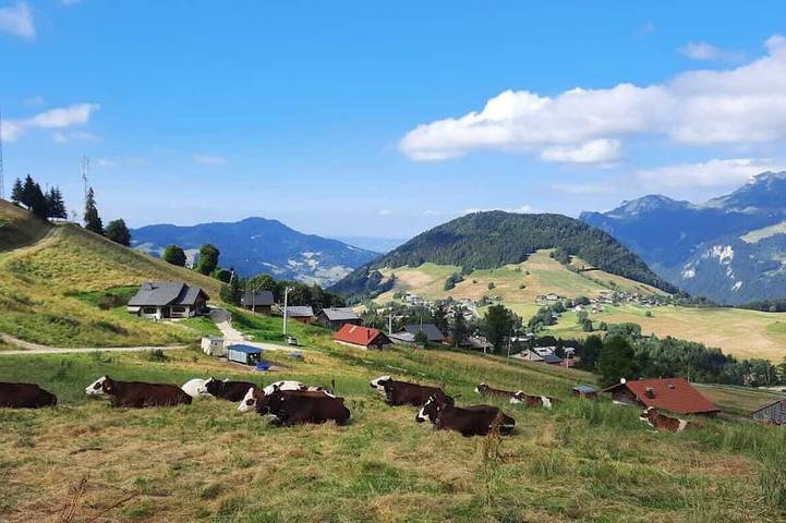Gîte pour 9 personnes, avec jardin et terrasse à Bellevaux