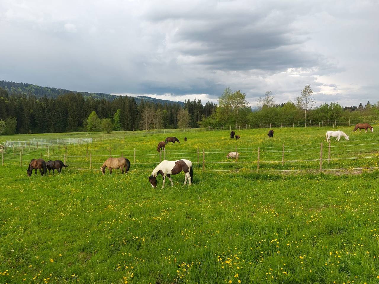 Ganze Wohnung, Ferienwohnung 'Lieblingsplatz' mit Bergblick, Balkon und Wi-Fi in Weiler-Simmerberg, Bayerisch Schwaben
