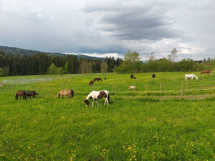 Vakantiewoning voor 4 personen, met Balkon in Zwaben (Bayern)