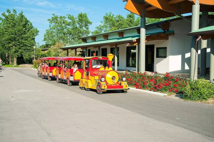 Camping für 5 Personen, mit Terrasse und Pool in Venetien - 2