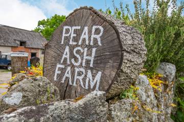 Log Cabin for 4 People in Pen Selwood, Cranborne Chase, Photo 2