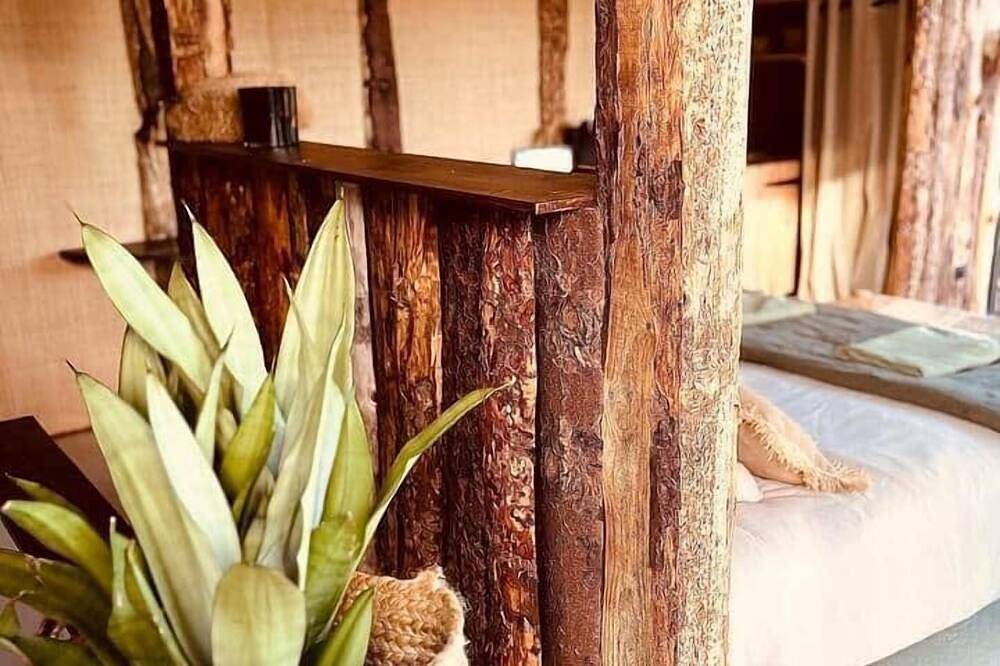 Domaine Finca Lessya & Spa, Lodge insolite de l'oliveraie in Mauguio, Côte méditerranéenne (France)