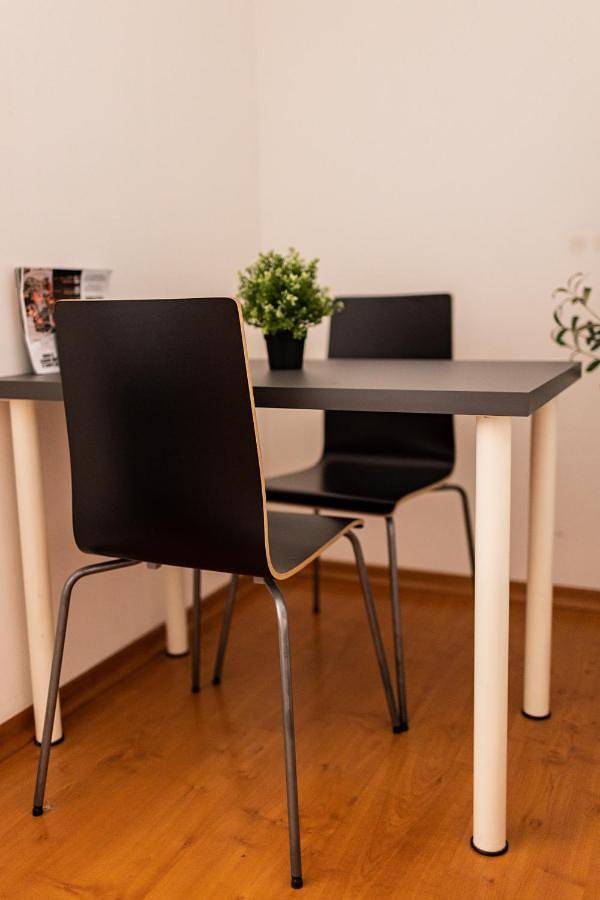 Location de vacances pour 4 personnes, avec terrasse, animaux acceptés à Kranj - 4