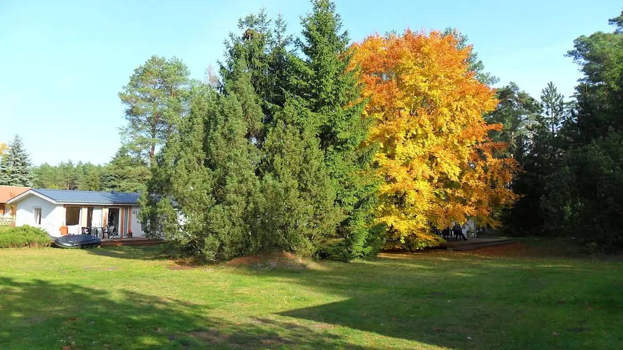 Ferienhaus für 5 Personen (55 m²) in Wooster Teerofen in Wooster-Teerofen, Neu Poserin