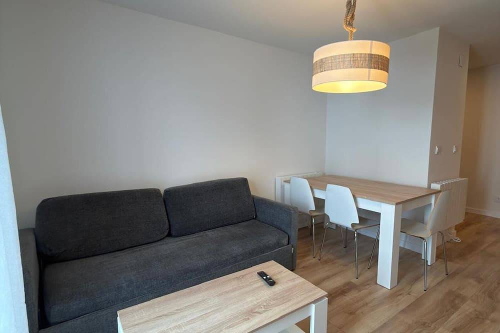 Ganze Wohnung, Renoviertes Bergstudio in Candanchú für 4 Pers. in Candanchú, Aisa