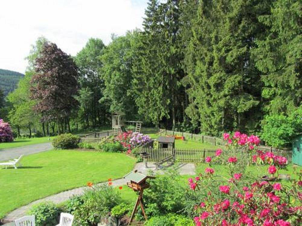 Pension Hof Dödesberg - Pferdekoppel in Bad Berleburg, Kreis Siegen-Wittgenstein
