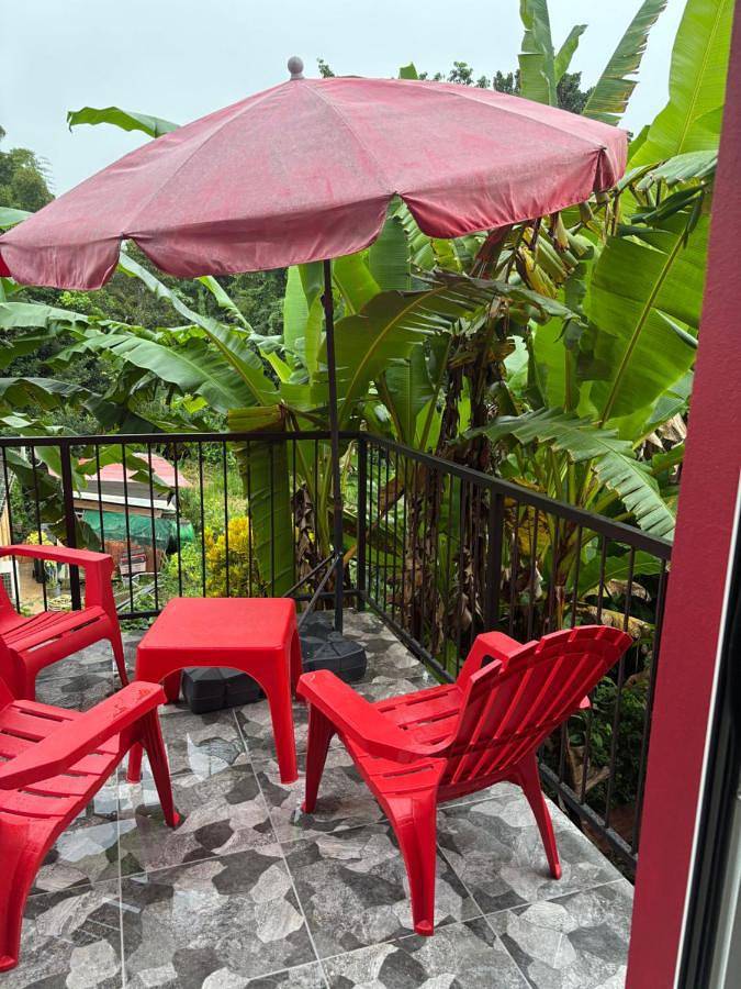 Gîte pour 3 personnes, avec vue et terrasse à Gros Morne (homonymie) - 2