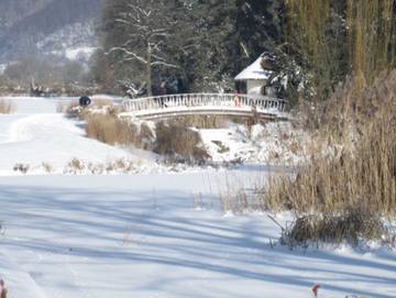 Ferienwohnung für 5 Personen in Bad Pyrmont, Weserbergland, Bild 3