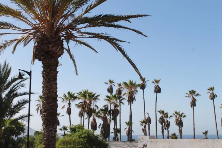 Entire holiday apartment, Tenerife Delux, Royal Garden, Las Americas in Playa de las Américas, Arona