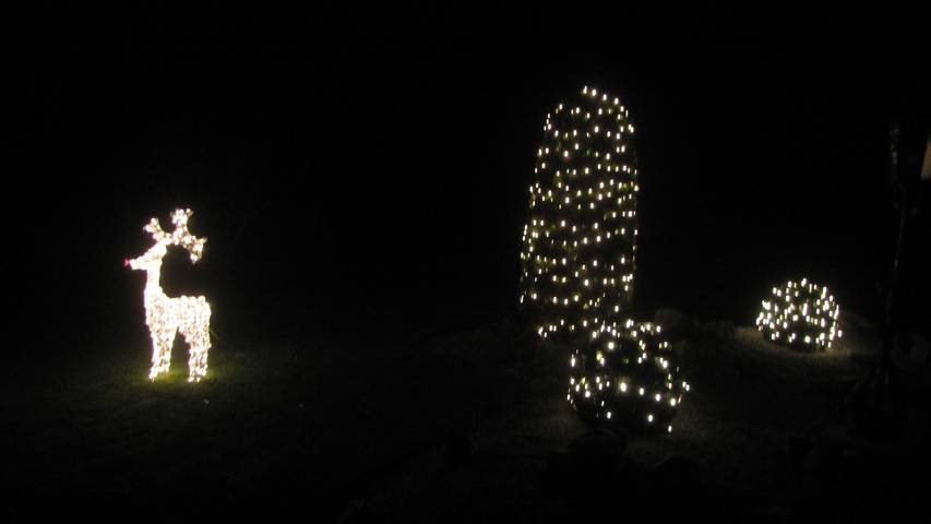 Ferienhaus für 4 Personen, mit Garten und Sauna sowie Terrasse in Franken - 3