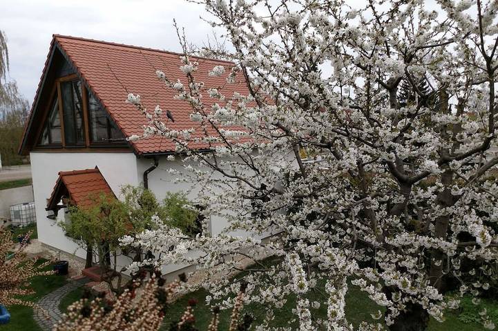Ferienhaus für 6 Personen, mit Garten, mit Haustier in Erfurt