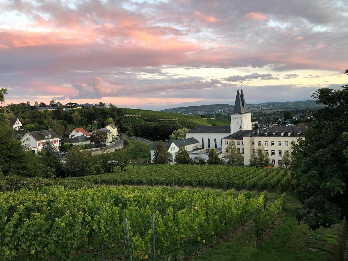 Ganze Wohnung, Ferienwohnung Bei Beppi in Johannisberg, Geisenheim