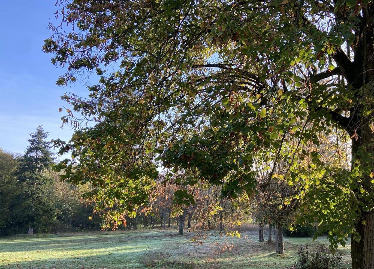 L’orée du bois des rois in Ury, Parc naturel régional du Gâtinais français