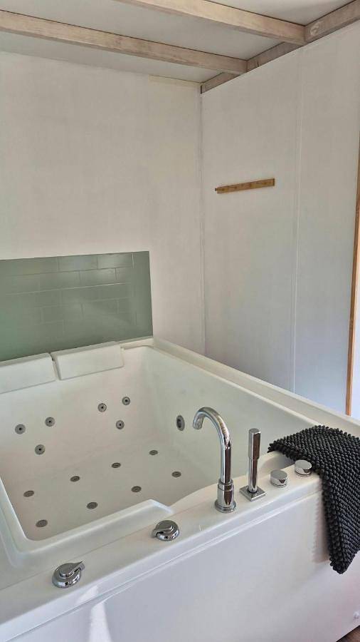 Location de vacances pour 2 personnes, avec piscine et jardin, animaux acceptés à Hautot-sur-Mer - 3