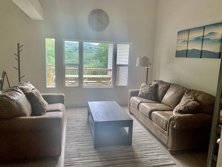 Vacation rental for 12 people, with yard and hot tub, with pets in Beech Mountain