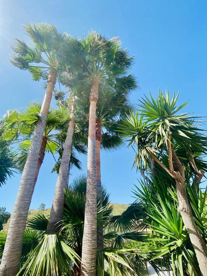 Chalet para 2 personas, con jardín además de vistas y piscina en Provincia de Málaga - 3
