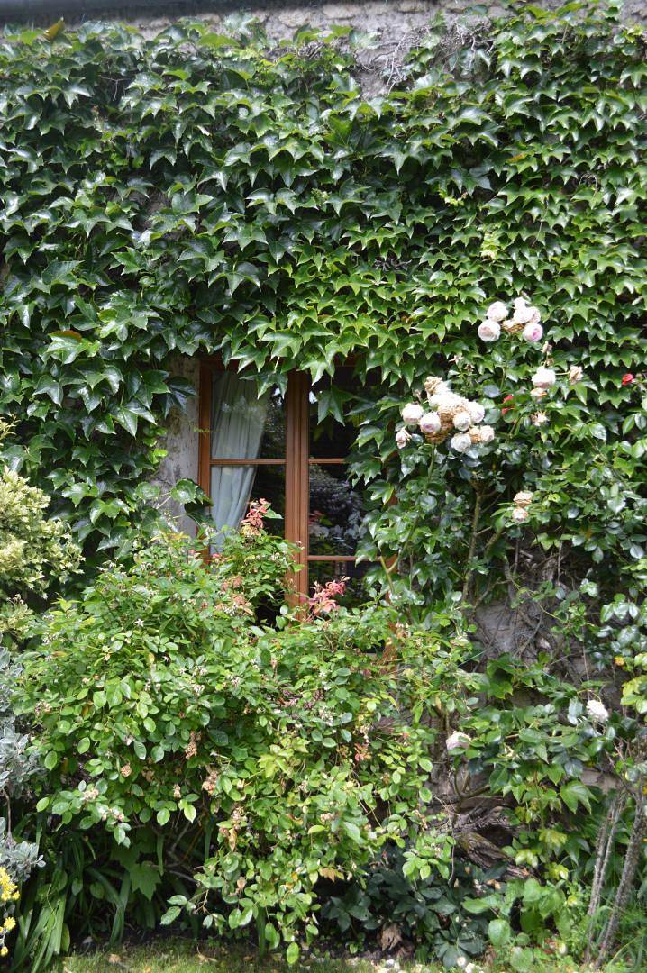 Acogedor B&B con jardín y cocina cerca de la playa in La Chapelle-la-Reine, Parc naturel régional du Gâtinais français
