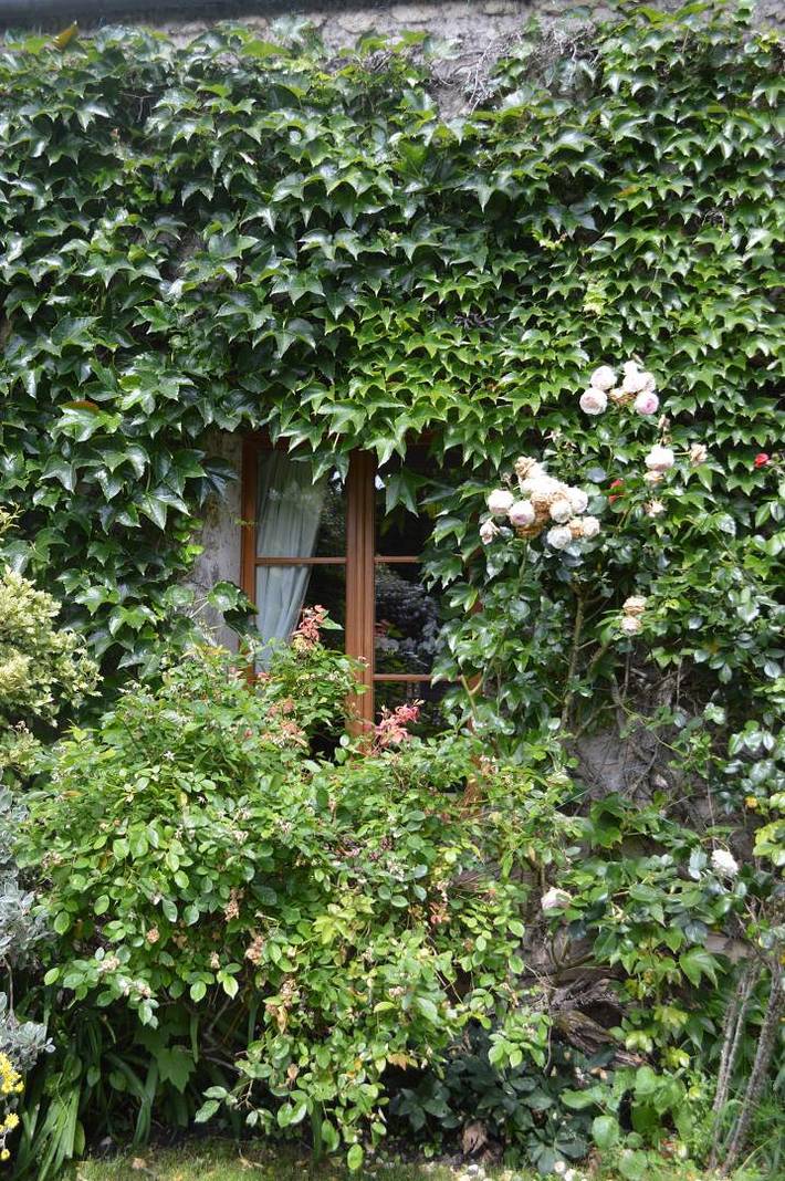 Chambre d’hôte pour 2 personnes, avec jardin, animaux acceptés dans Seine-et-Marne - 3