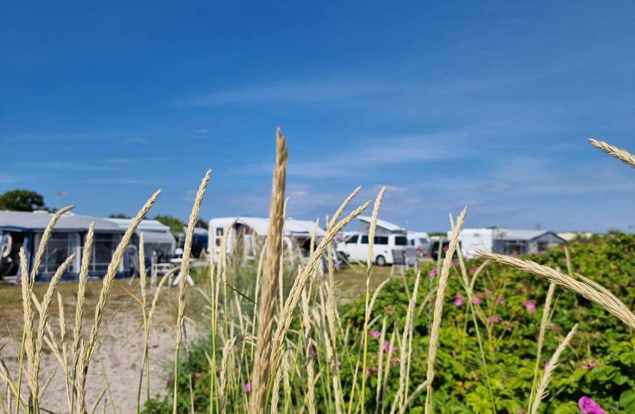 First Camp Grenen Strand in Skagen, Tannisbucht