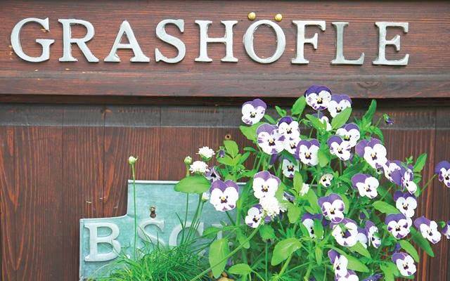 Ferienhaus für 3 Personen, mit Garten und Sauna in Sankt Oswald-Riedlhütte - 4