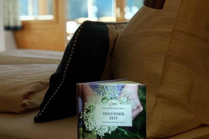 Ferienwohnung für 2 Personen, mit Balkon und Garten in Faistenau - 4