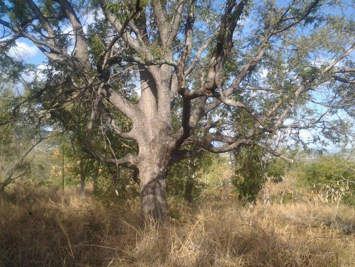 Gîte pour 2 personnes, avec vue ainsi que terrasse et jardin aux Avirons - 4