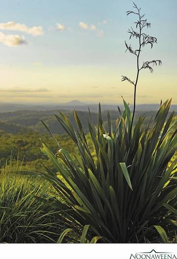 Cottage for 4 People in New South Wales, Australia, Photo 2