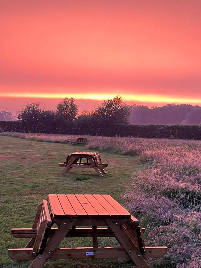 Vakantiehuis voor 2 personen, with Terras and Tuin as well as Uitzicht in Vorden