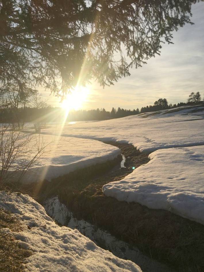 Ferienwohnung für 2 Personen, mit Ausblick und Garten in Schwangau - 4