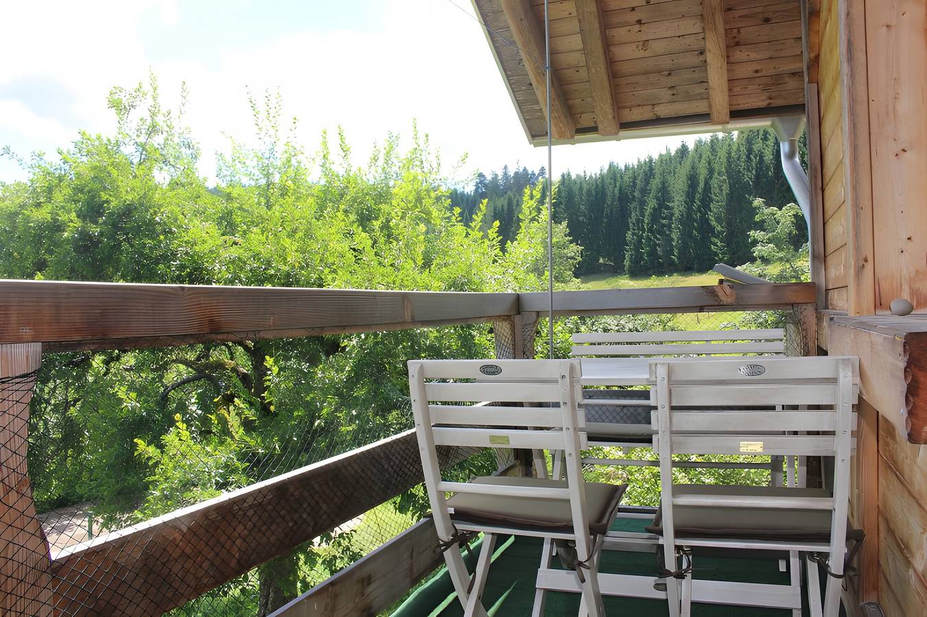 Ganze Wohnung, Ferienwohnung 'Rusticana' mit Bergblick, Gemeinschaftsterrasse und Wlan in Schonach, Südschwarzwald