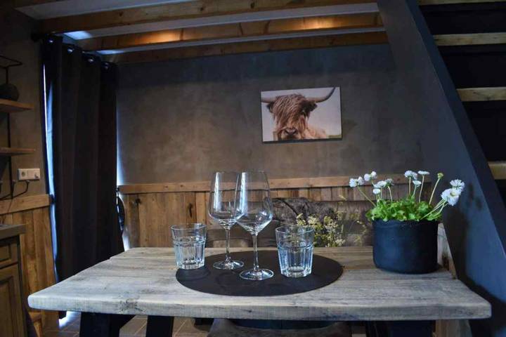 Ferienhaus für 2 Personen, mit Garten und Terrasse in Zeeland - 4