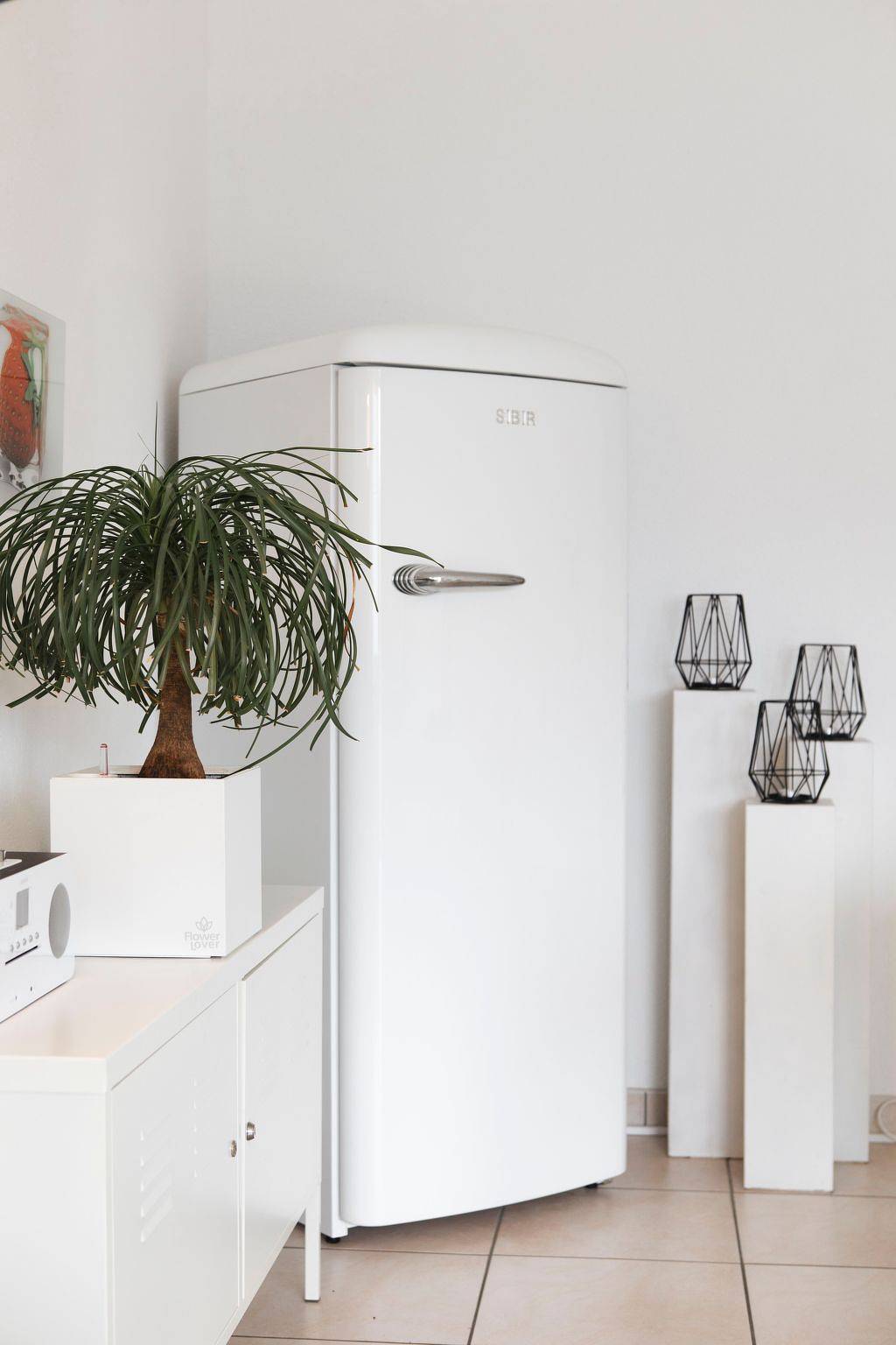 Ganze Wohnung, La Promenada in Orselina, Tessiner Alpen